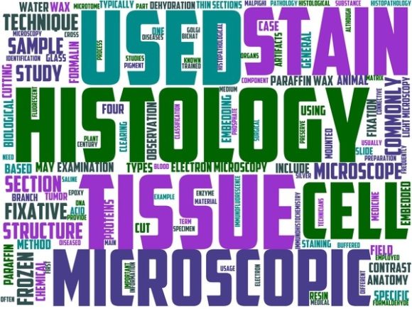 Discover the Beauty of Histology Wordart Tumbler