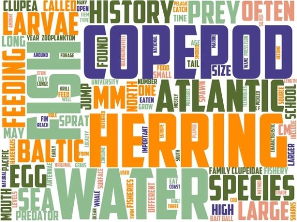 Herrin Wordart Crafting: A Creative Tool for Inspiration and Design