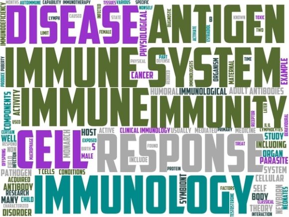 Immunology Wordart Book Cover