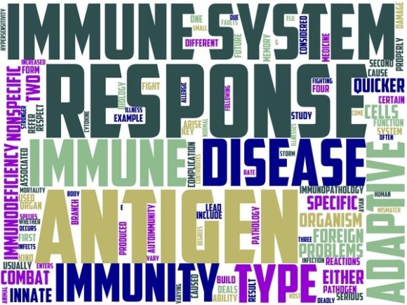 Immunopathology Wordart Book Cover: A Creative Tool for Design and Inspiration