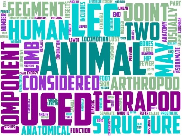 Legos Wordart Print: A Creative Tool for Every Project