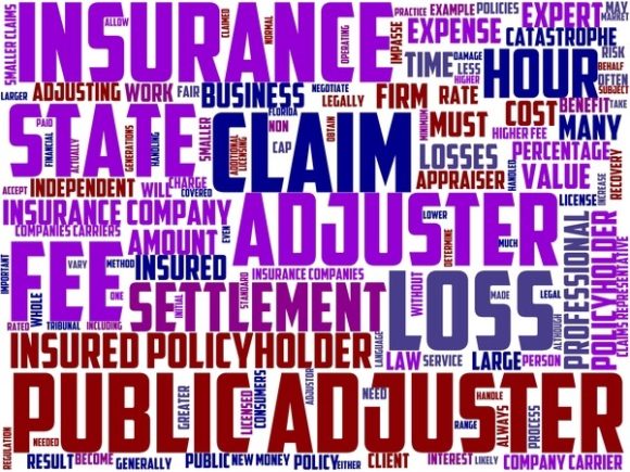 Loss Assessor Wordart Sticker